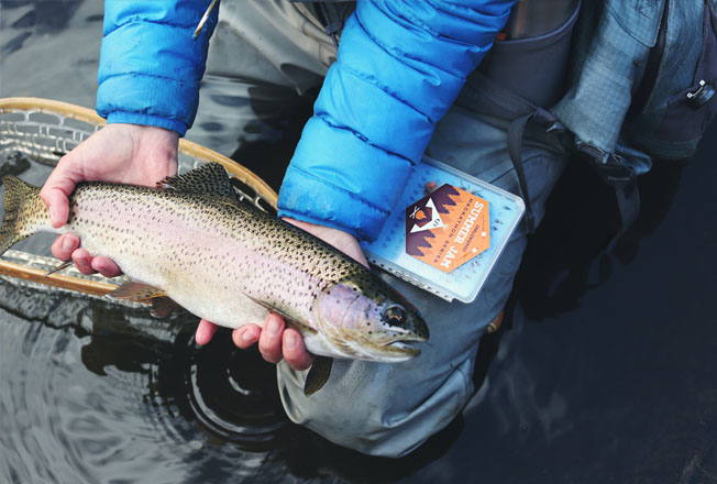 Ϊʲôѡ������